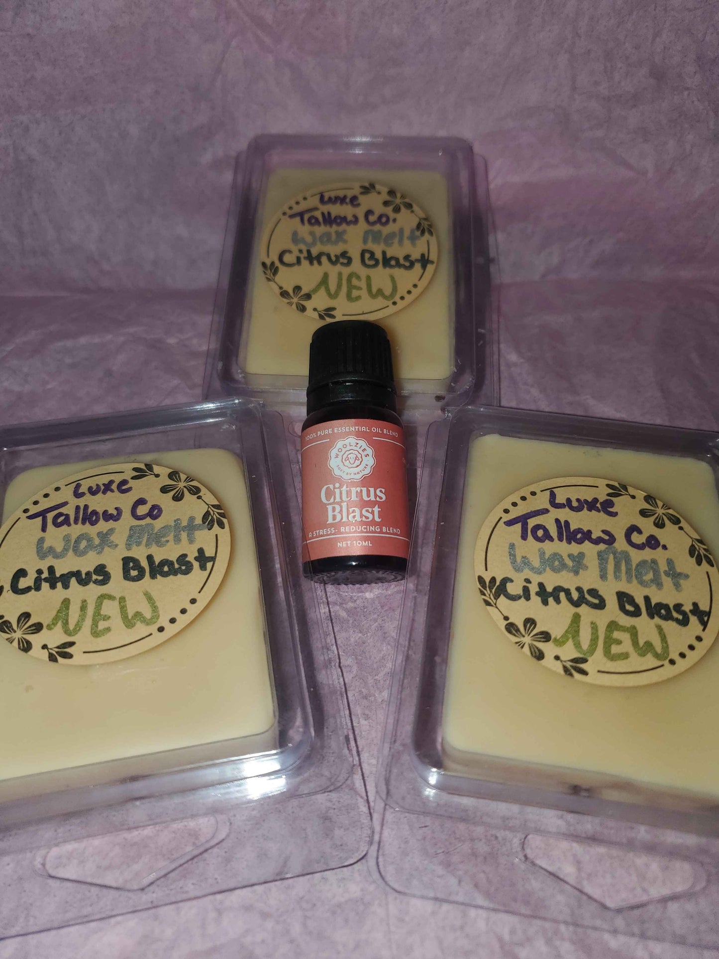 Beeswax Wax Melts